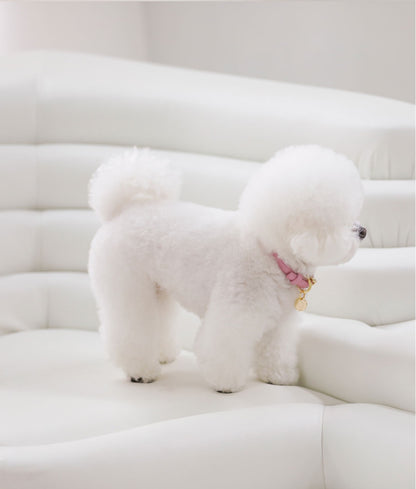 Bloom Collar【迷子札】 ボンボンピンク