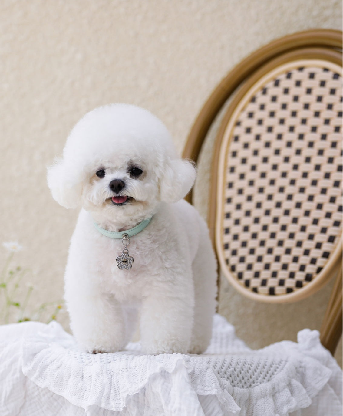 Bloom Collar × In My Heart Pendant【迷子札】 サマーミント