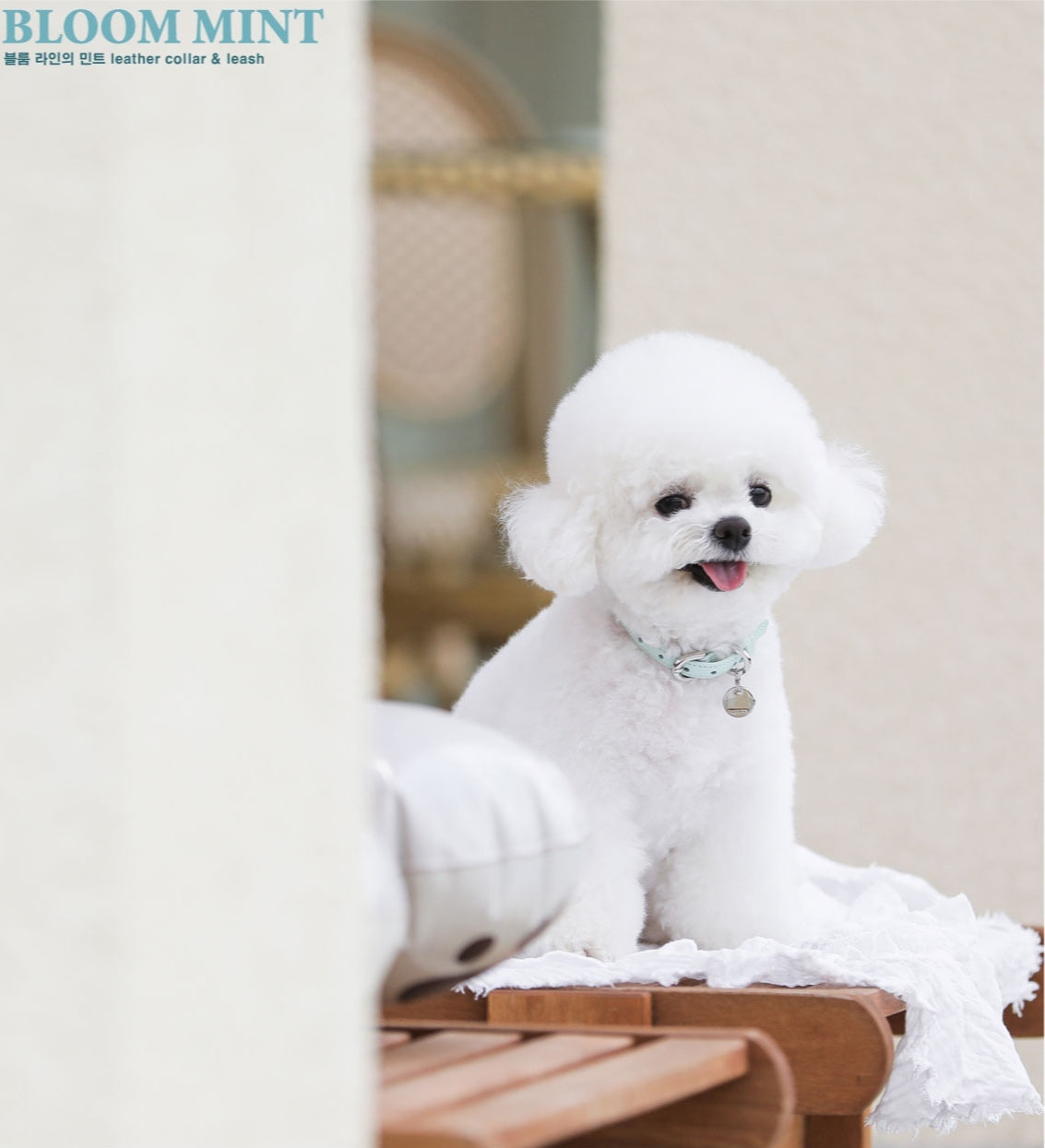 Bloom Leash - サマーブルー