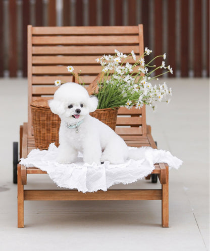 Bloom Leash - サマーブルー