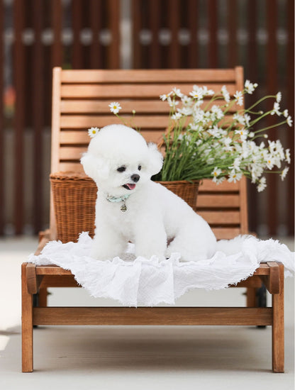 Bloom Leash - サマーブルー