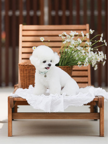 一部即納 Bloom Collar【迷子札】 サマーミント