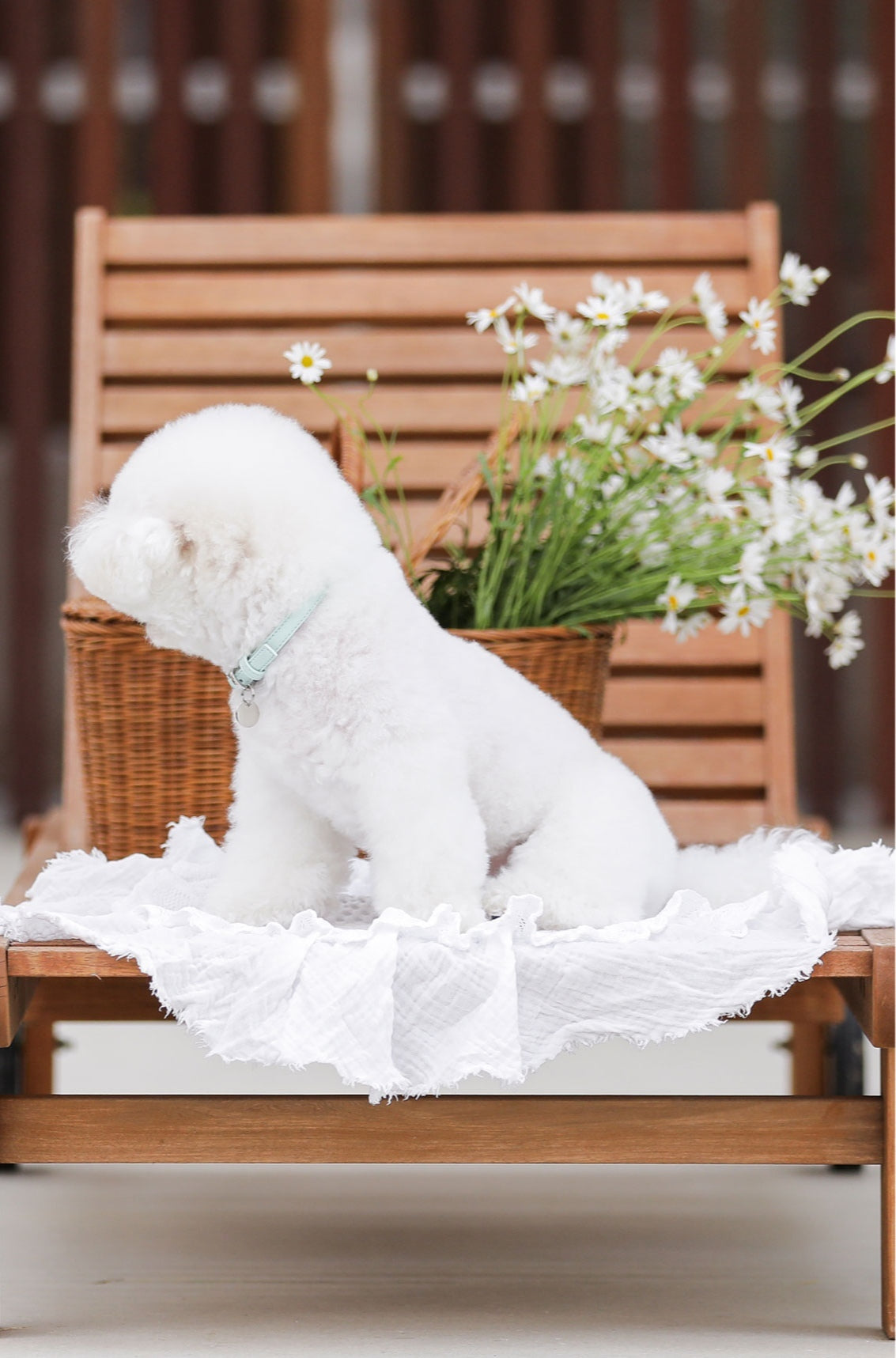 一部即納 Bloom Collar【迷子札】 サマーミント