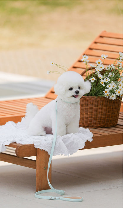 一部即納 Bloom Collar【迷子札】 サマーミント