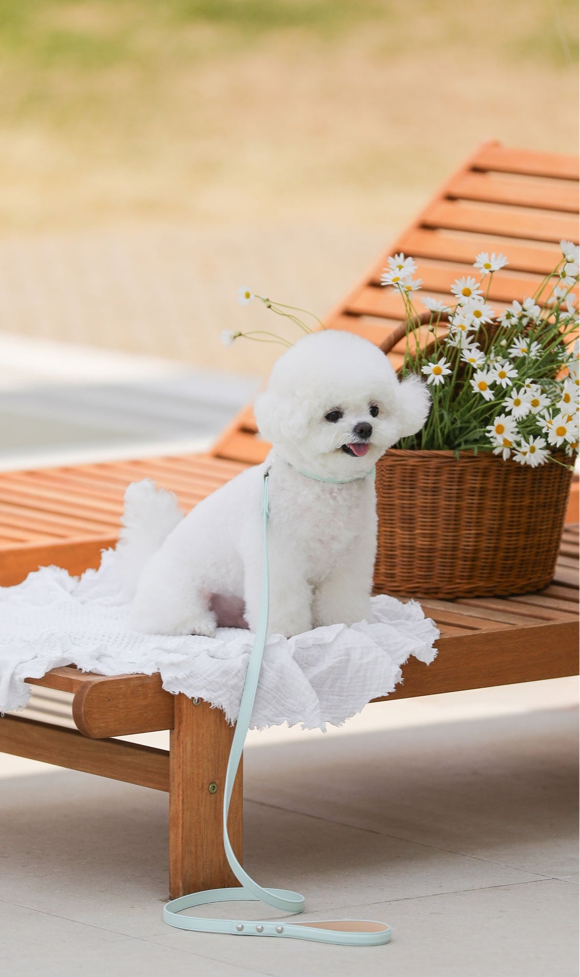 Bloom Leash - サマーブルー