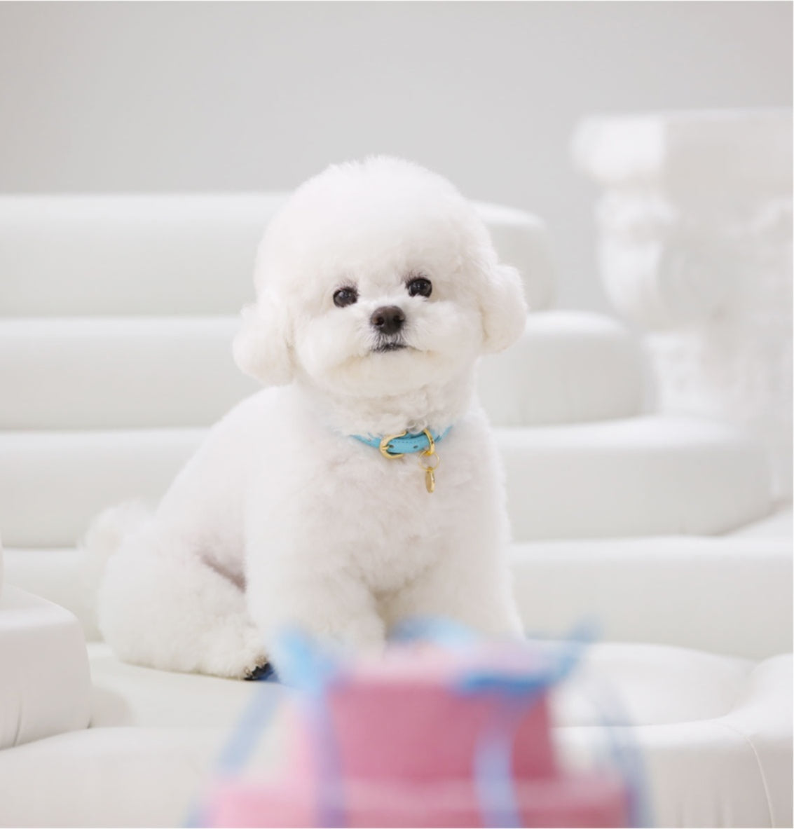 Bloom Collar【迷子札】 サマーブルー