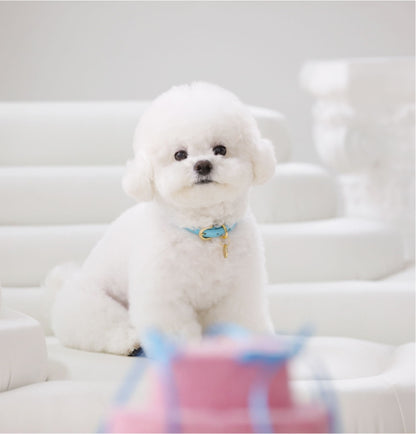 Bloom Collar【迷子札】 サマーブルー