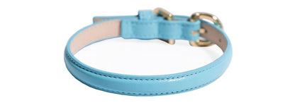 Bloom Collar【迷子札】 サマーブルー