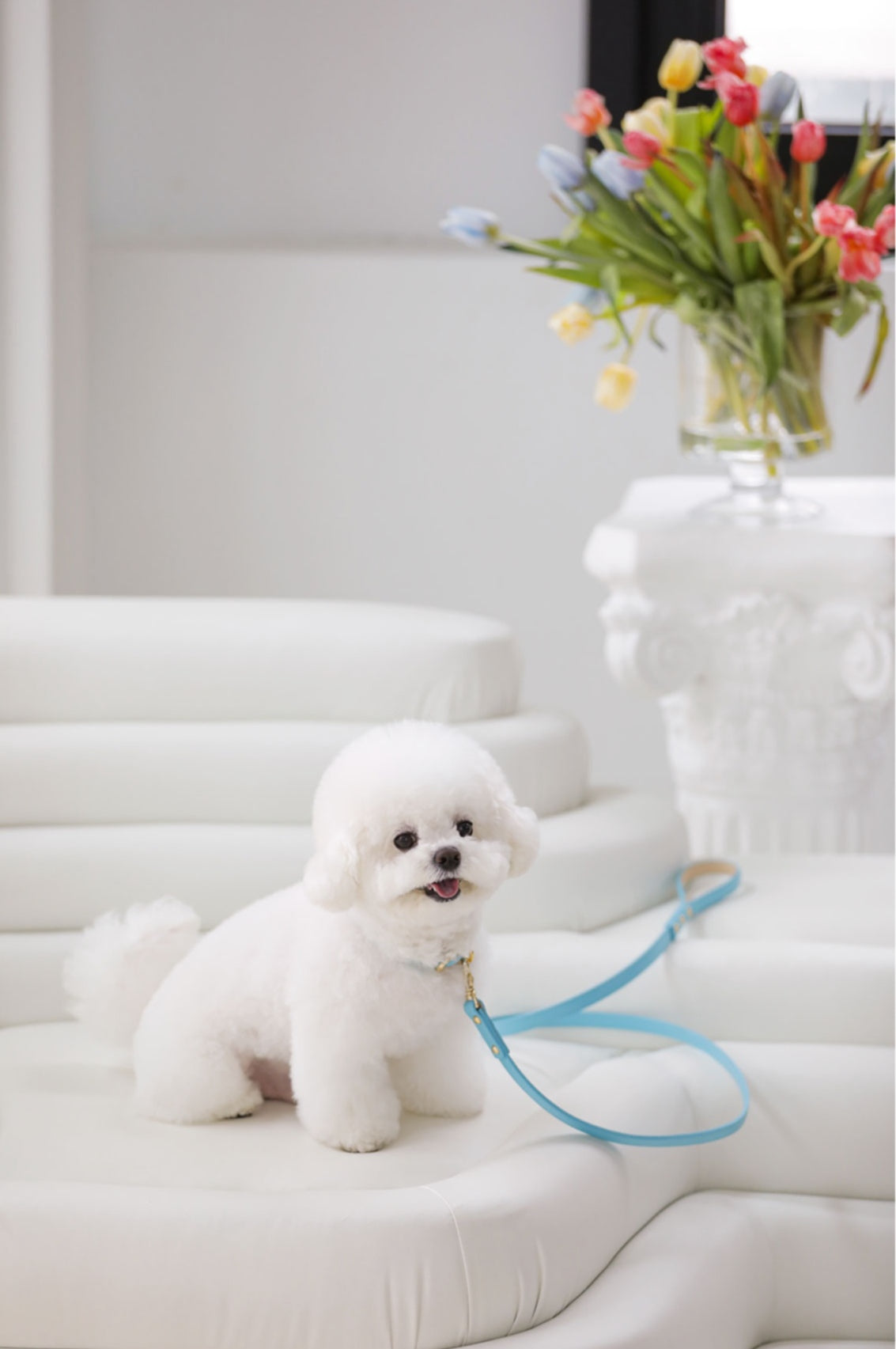 Bloom Collar【迷子札】 サマーブルー