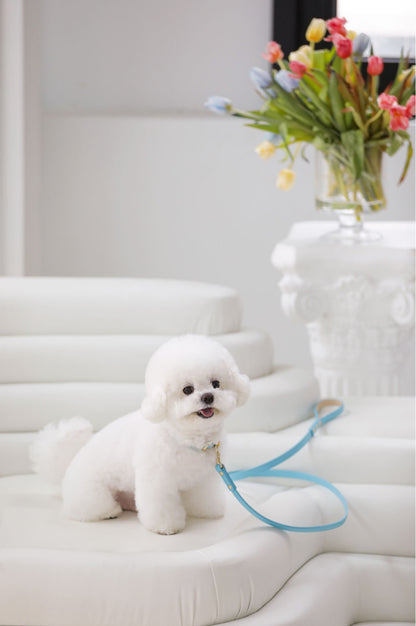 Bloom Collar【迷子札】 サマーブルー