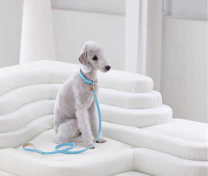 Bloom Collar【迷子札】 サマーブルー