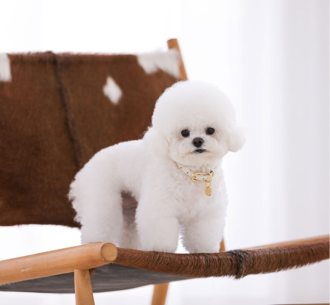 即納 Bloom Leash - バニラクリーム