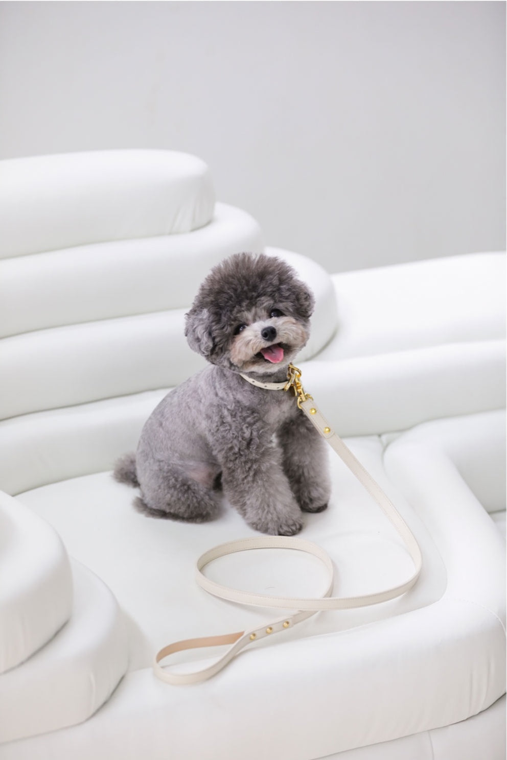 即納 Bloom Leash - バニラクリーム