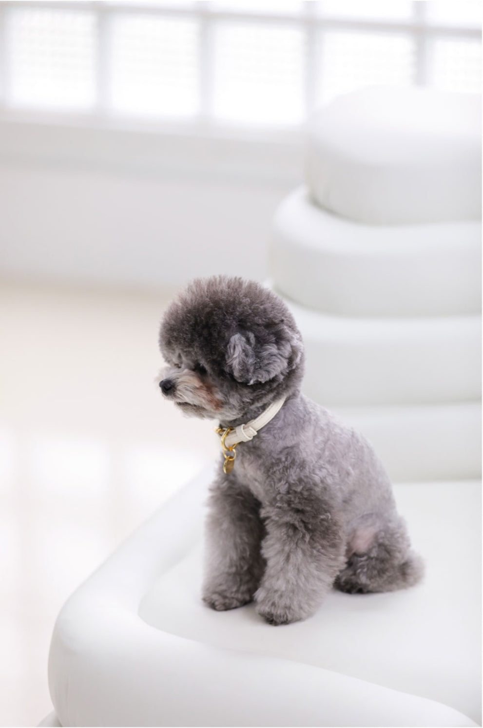 即納 Bloom Leash - バニラクリーム