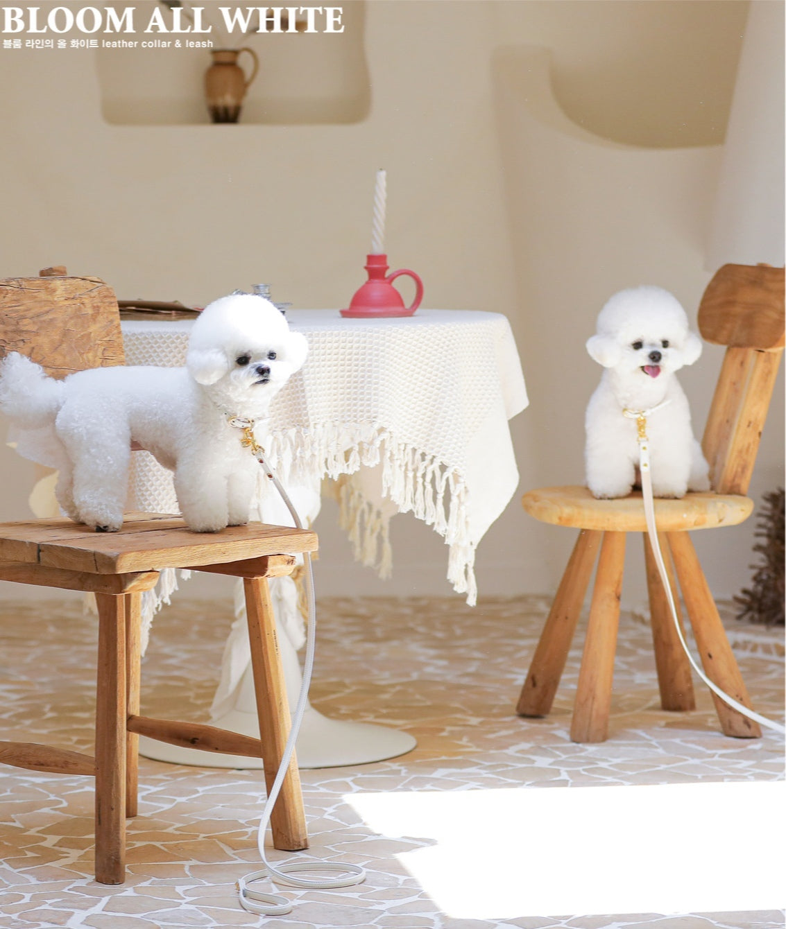 Bloom Leash - オールホワイト