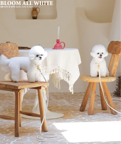 Bloom Leash - オールホワイト