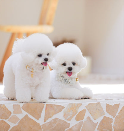 Bloom Leash - オールホワイト