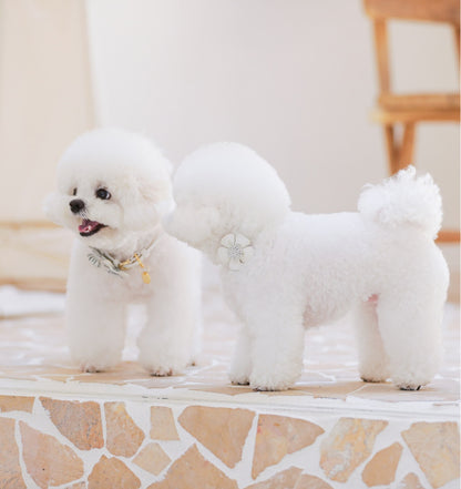 Bloom Leash - オールホワイト