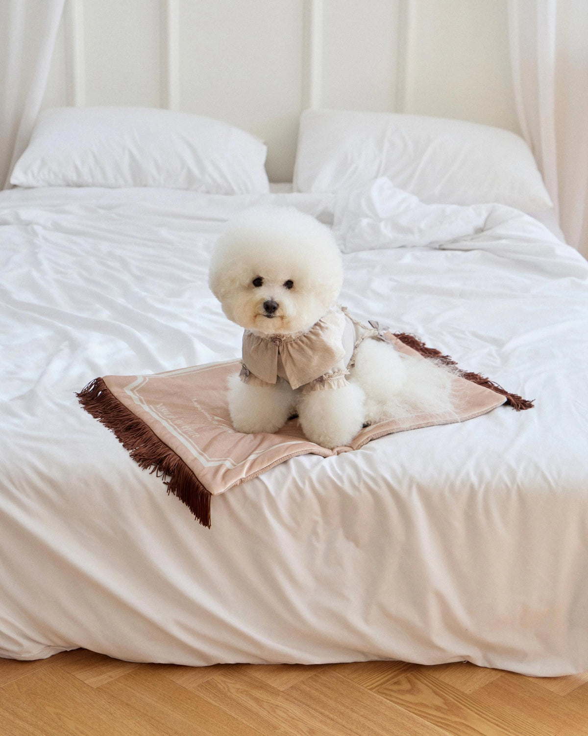 Maison Fringe Blanket 全3色