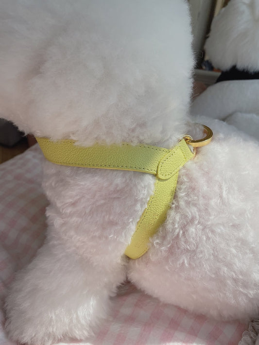 即納 VV Harness 2tone レモン×メロン
