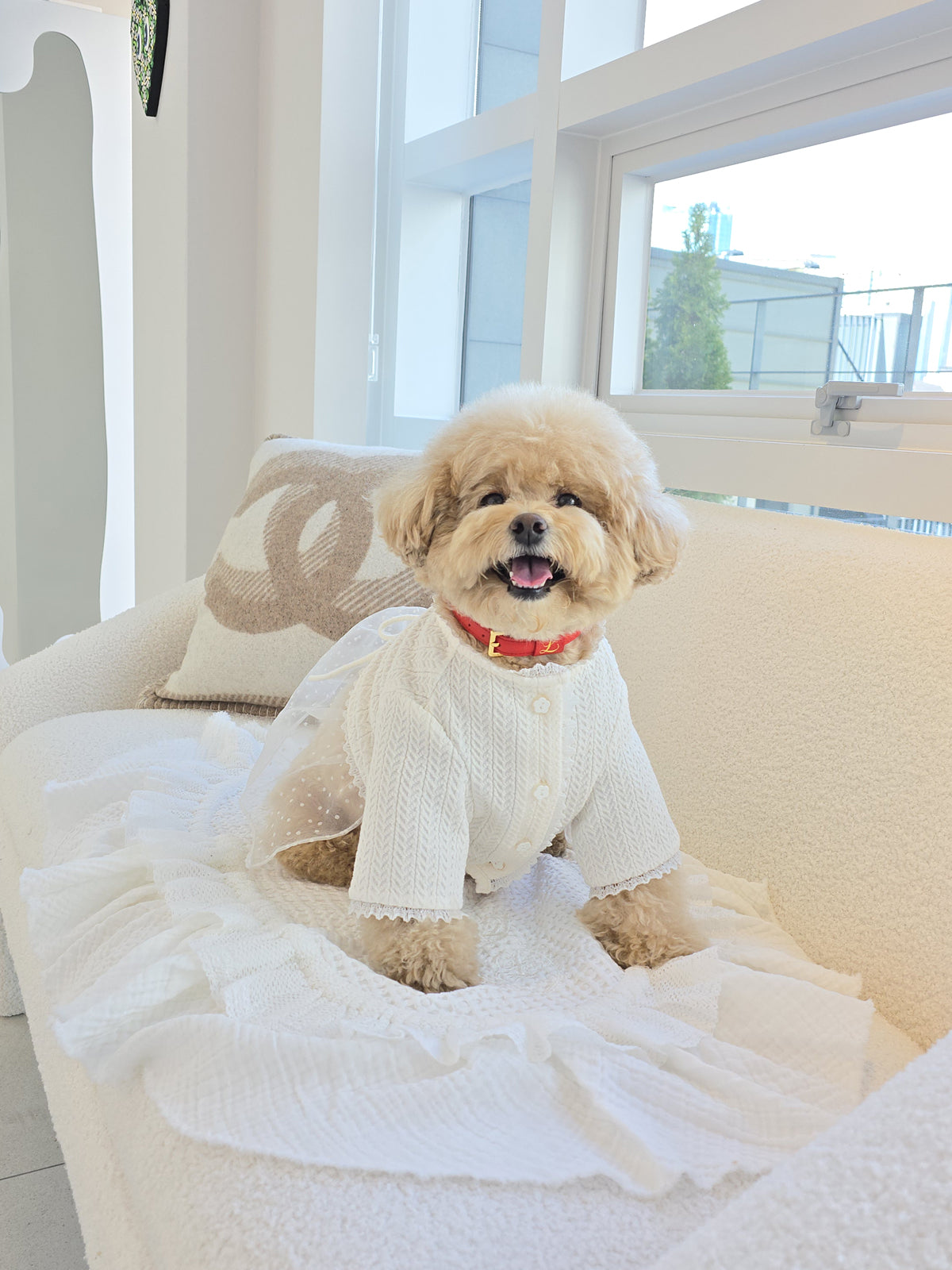 Loving Collar レッド