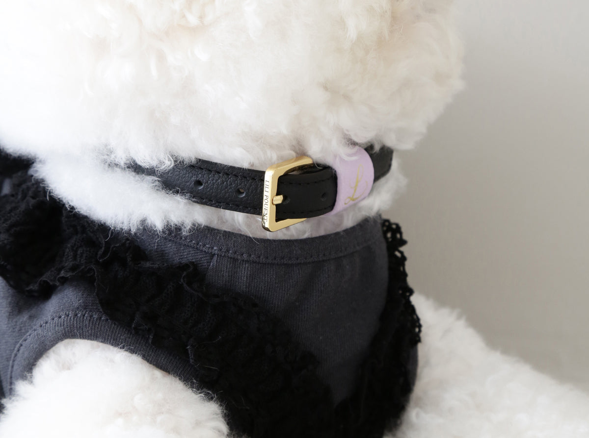 Loving Collar ブラック