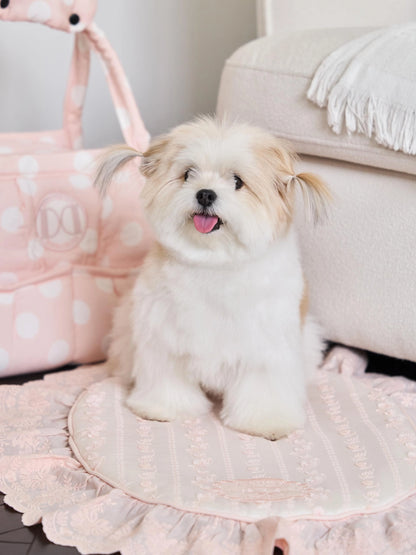 Chouchou Blanket 全3色