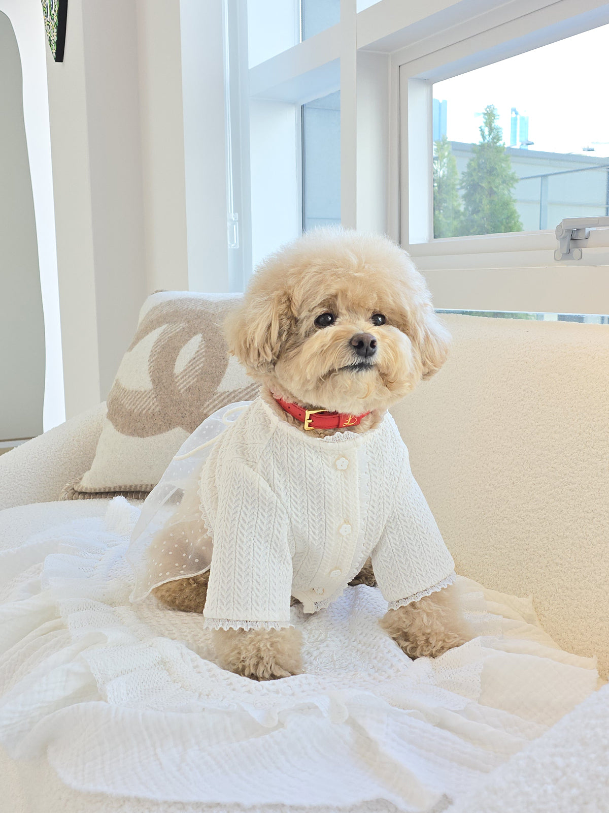 Loving Collar レッド