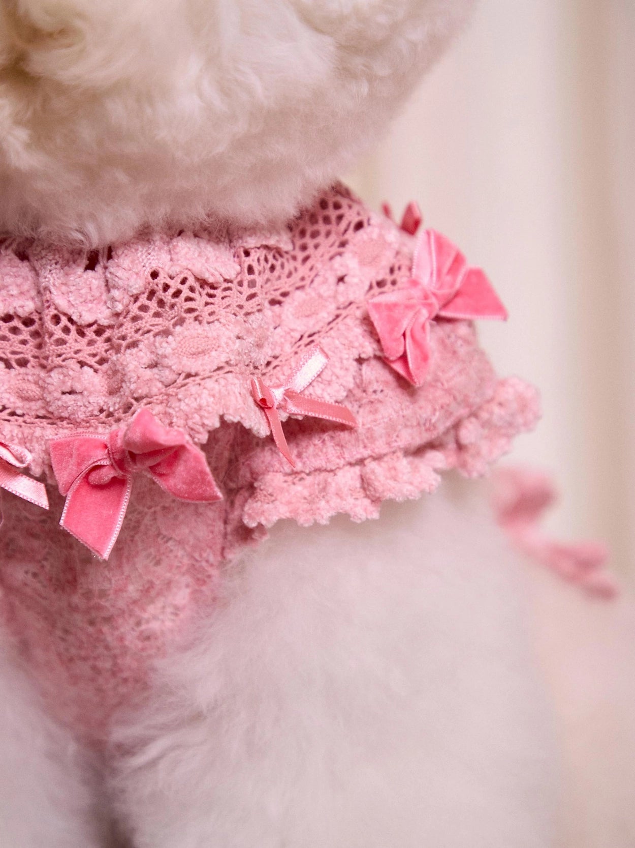 Lace Garden Dress 全3色