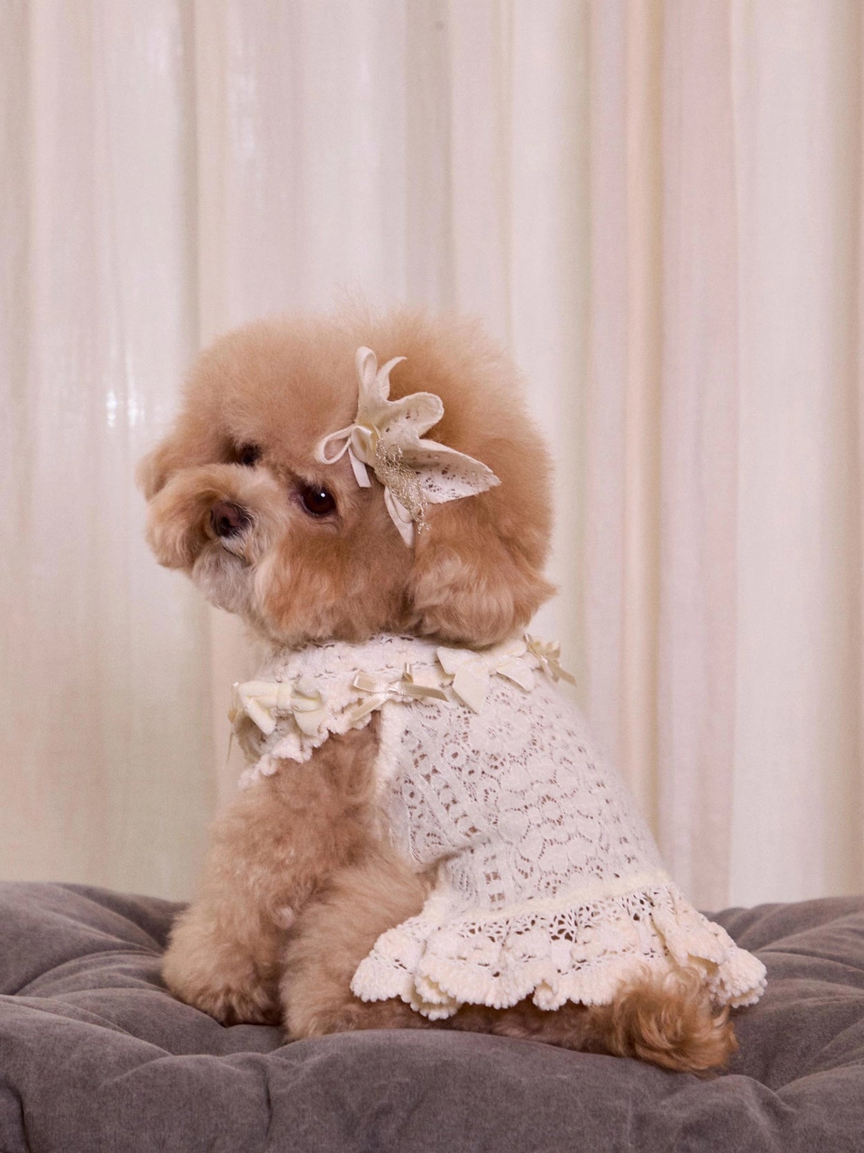 Lace Garden Dress 全3色