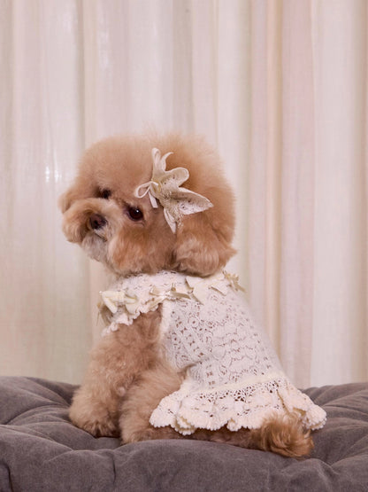 Lace Garden Dress 全3色