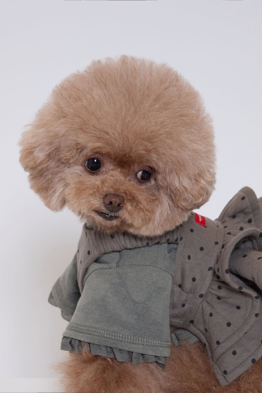 Palette Paper Doll Top - Short グレー