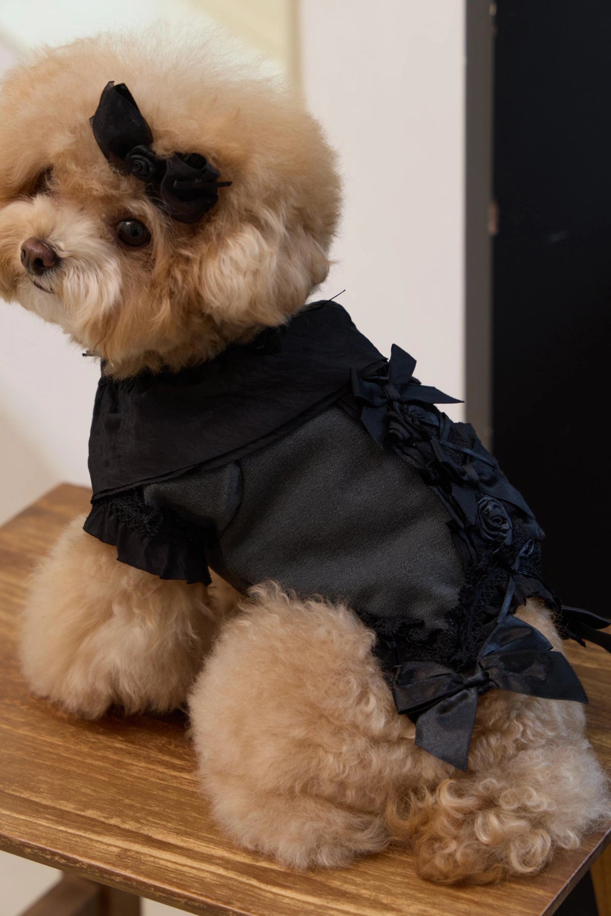 Plié Belle Blouse 全3色