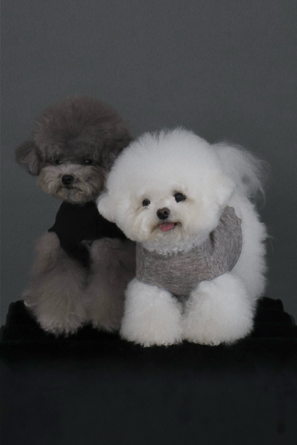 【PRE-ORDER】Cashmere Half Turtleneck Top 全3色