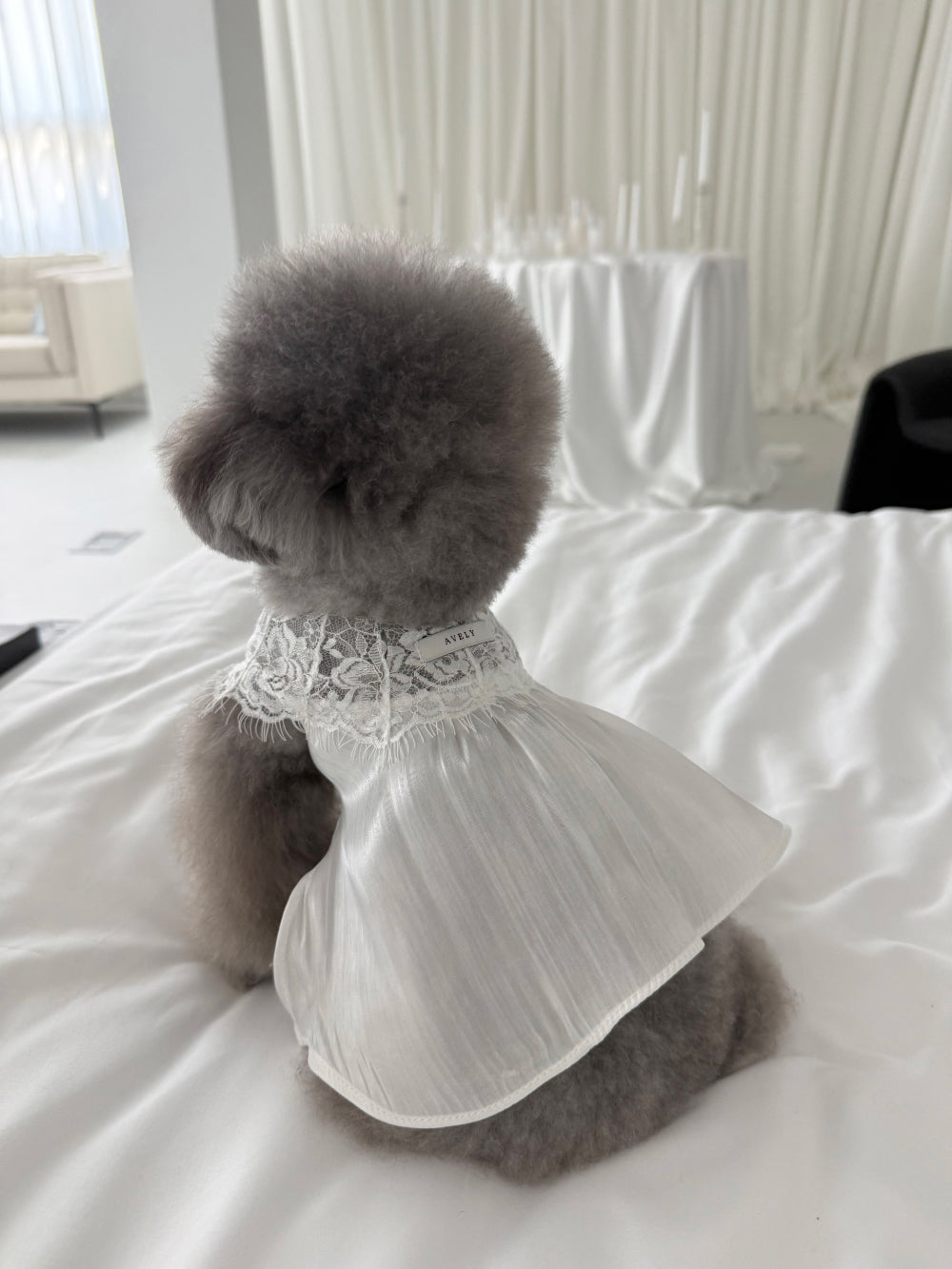 【PRE-ORDER】White Satin Glow Slip
