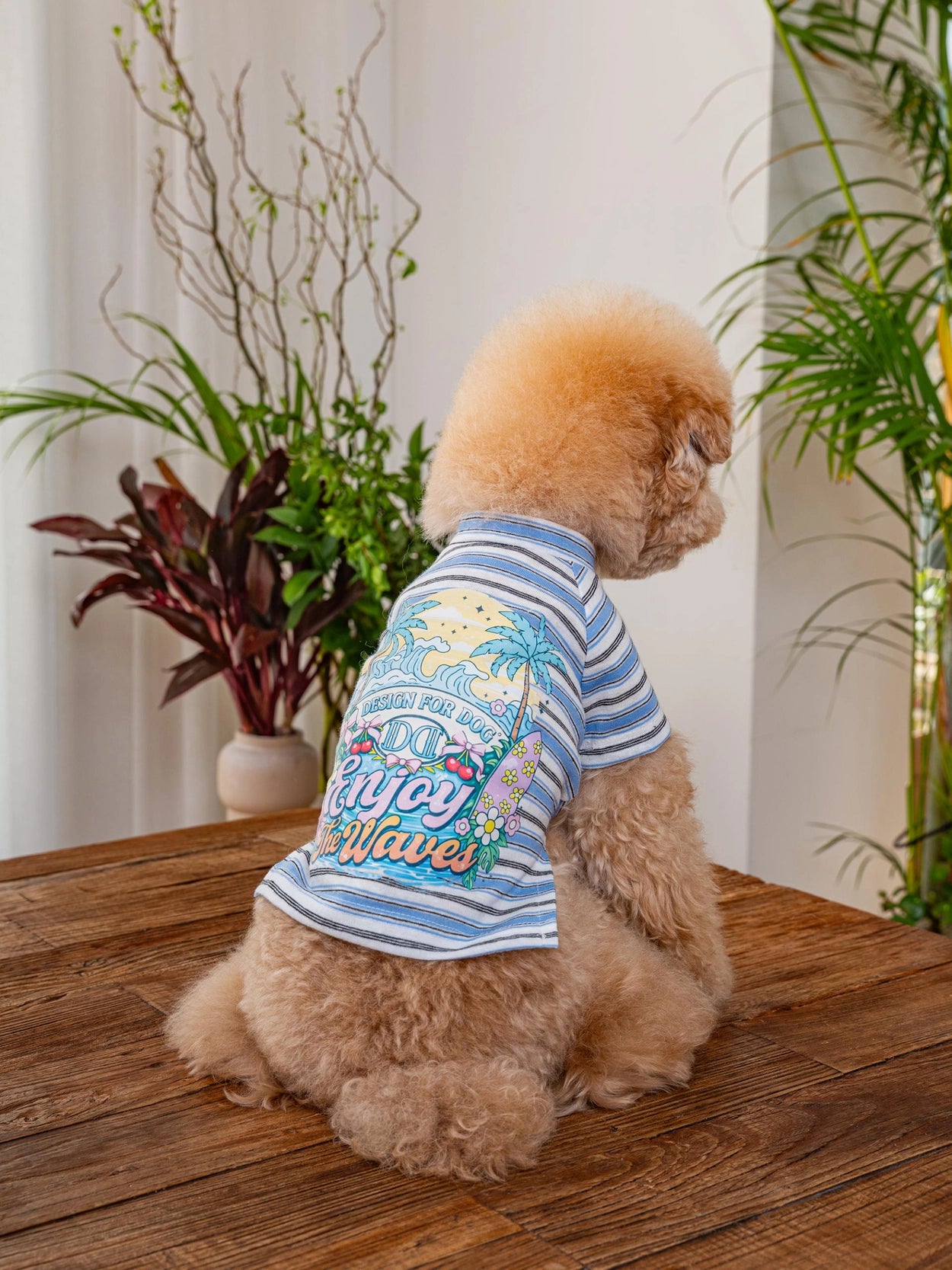 即納 Enjoy Wave T-Shirt 全3色