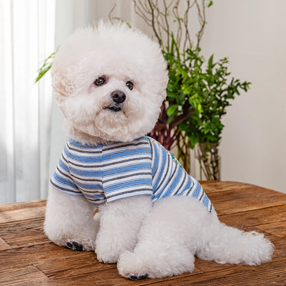 即納 Enjoy Wave T-Shirt 全3色