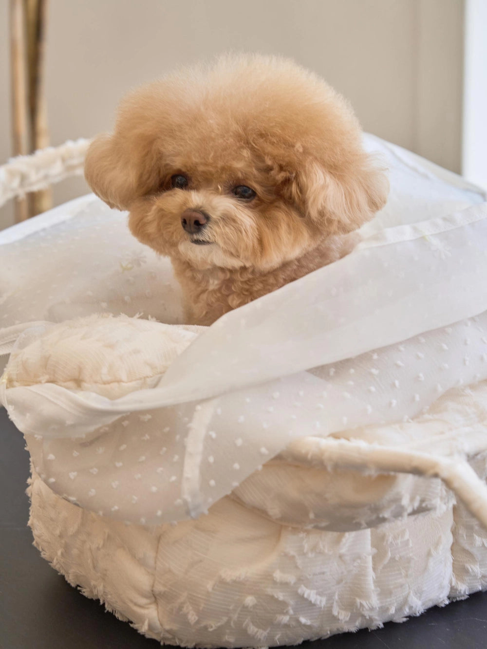 即納 Dimsum Atelier Bag 全2色