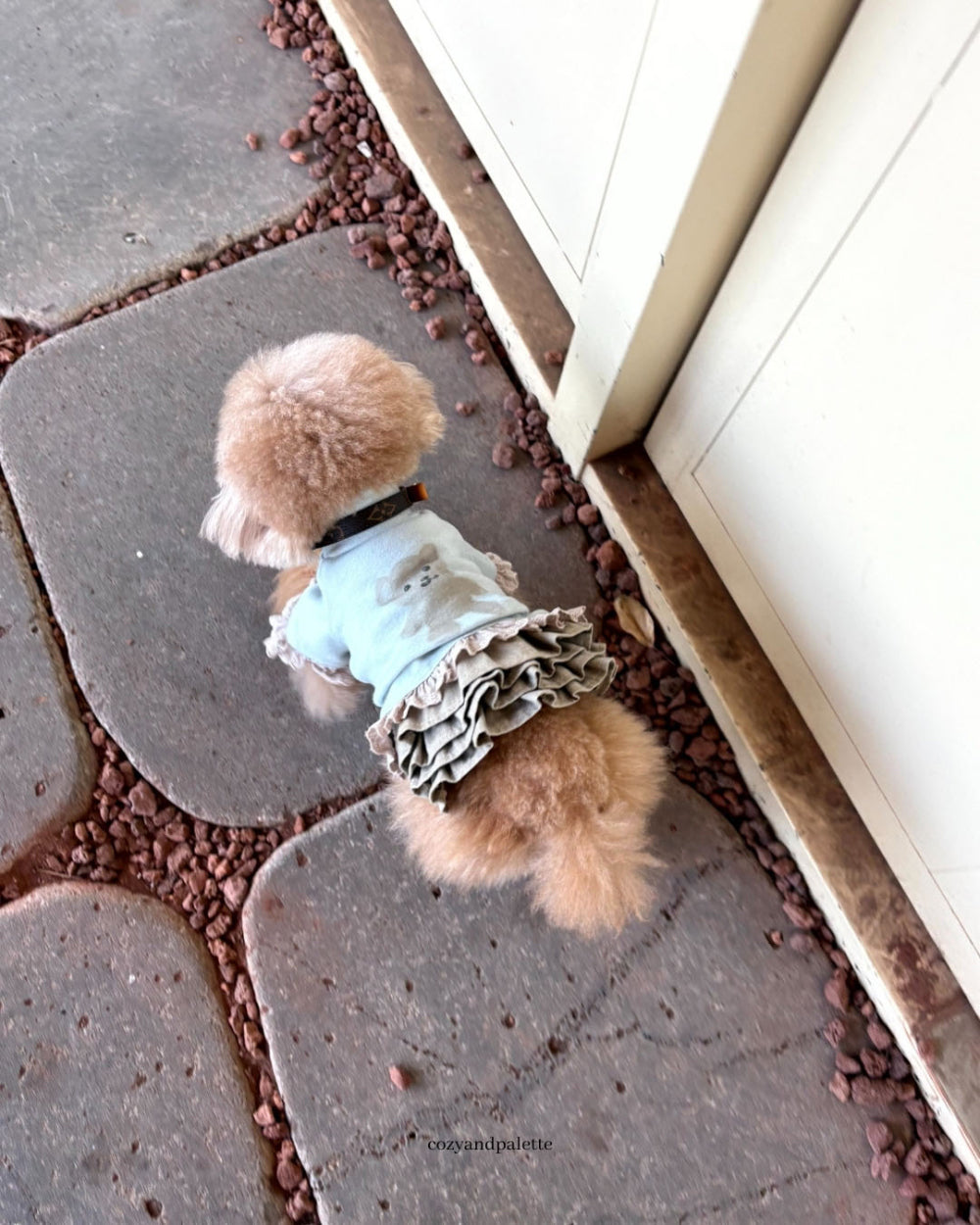 即納 Bear Friend Highneck Top 全4色