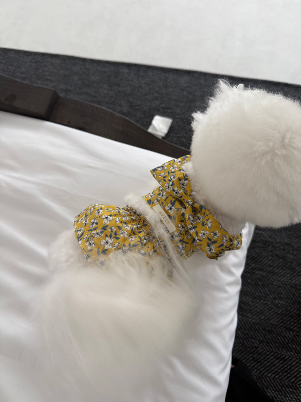 【PRE-ORDER】Liberty Yellow Floral Dress