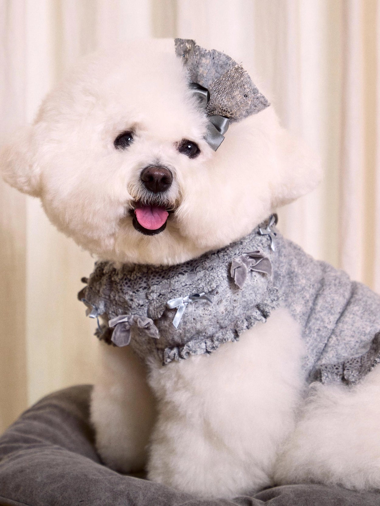 Lace Garden Dress 全3色