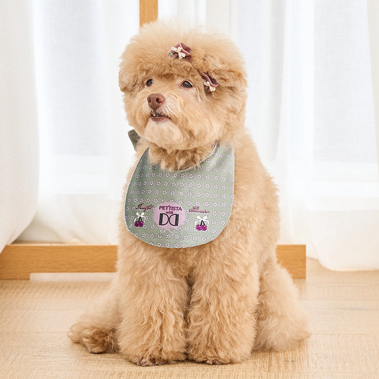 ［Design For Dog x PETTISTA］Velvet Cape
