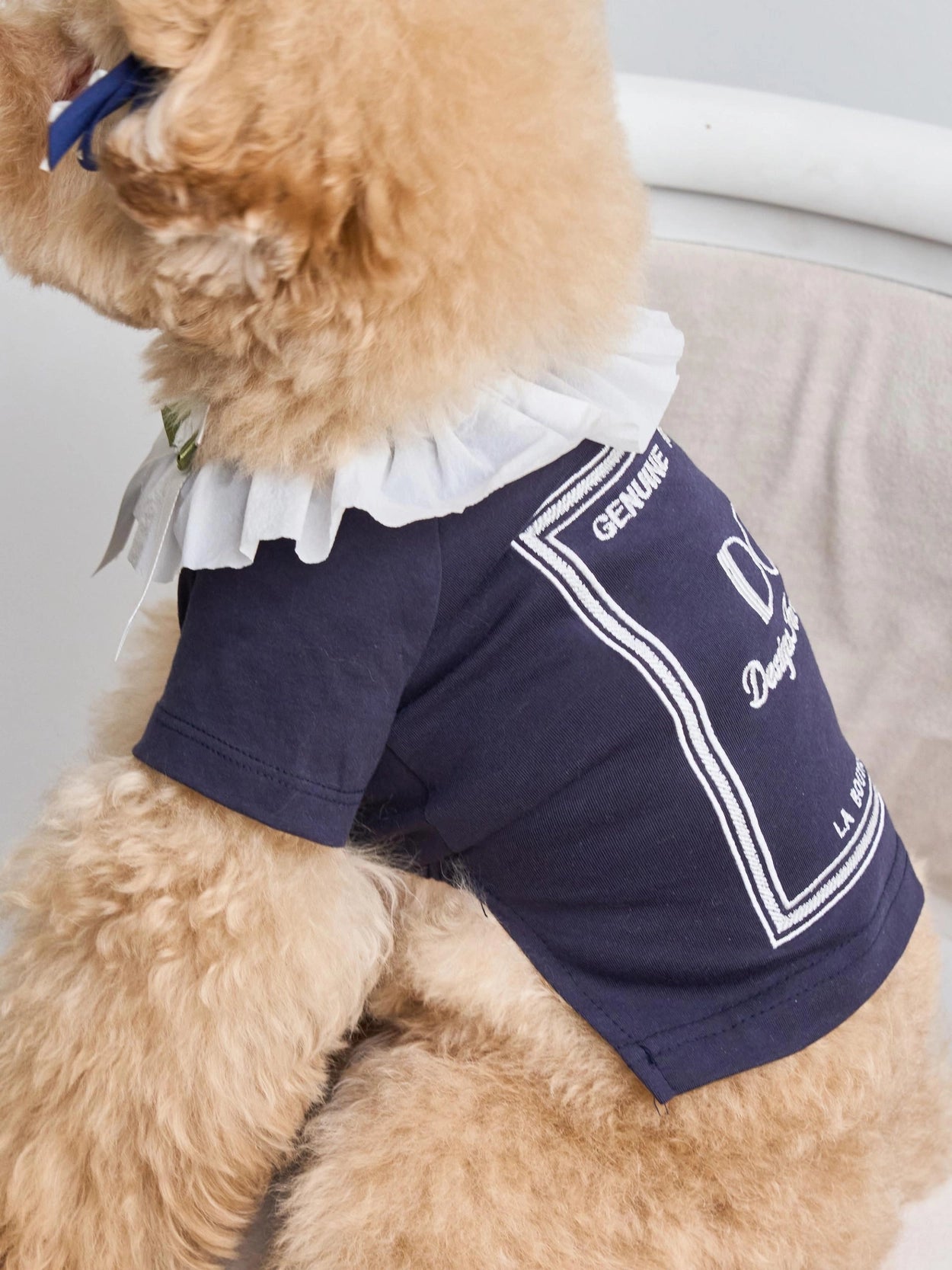 即納 Atelier T-shirt 全3色