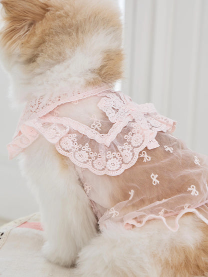 Sweetie Bebe Dress 全3色