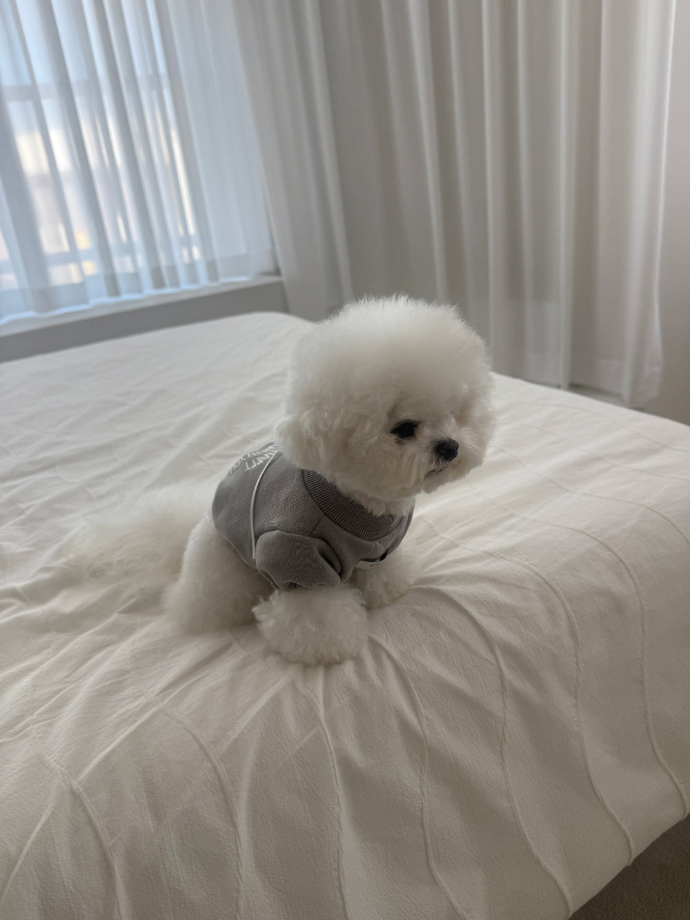【PRE-ORDER】Cropped Sweatshirt 全2色