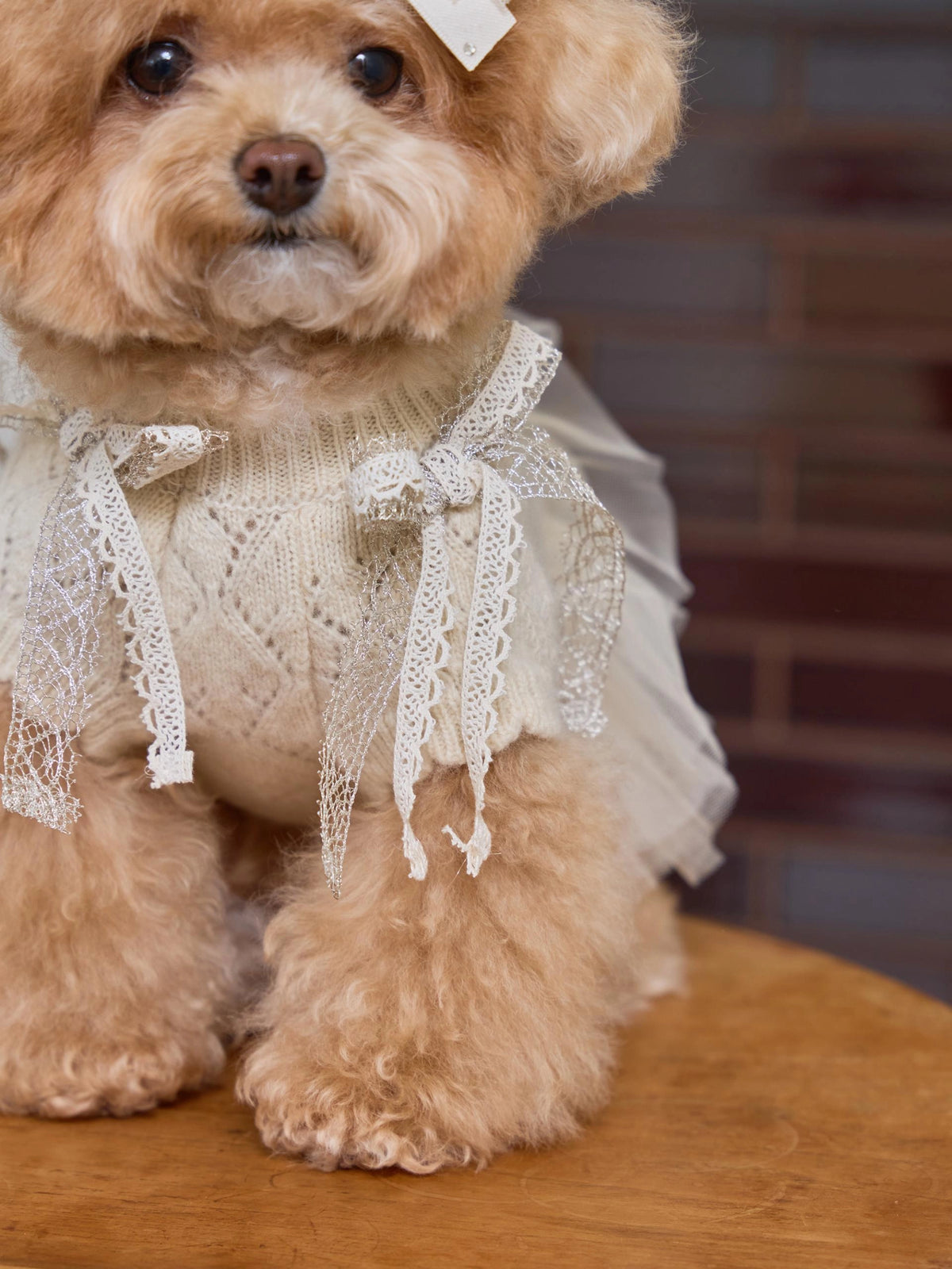 Patissier Tutu Dress 全3色