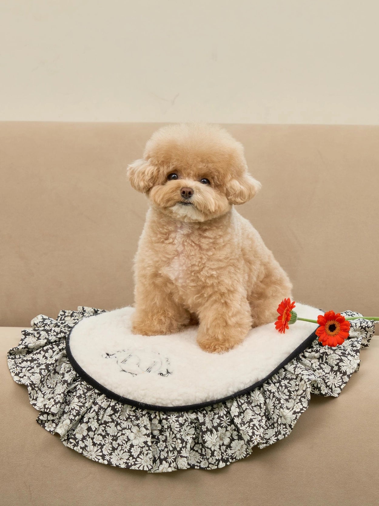 即納 Cozy Cloud Blanket 全3色