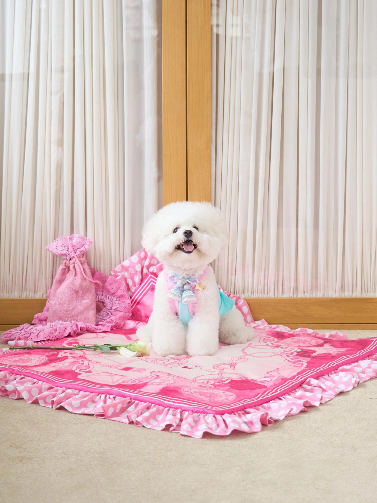 即納 DD Ice Pouch 全4色