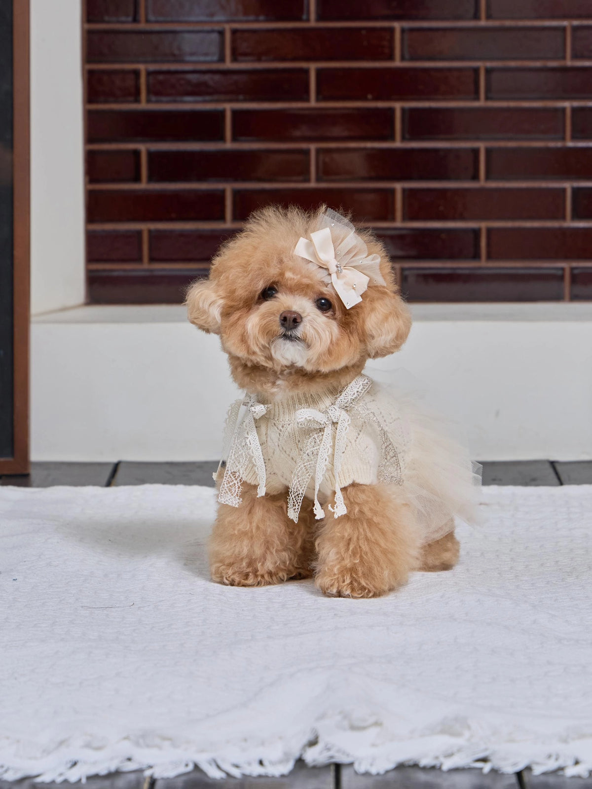 Patissier Tutu Dress 全3色