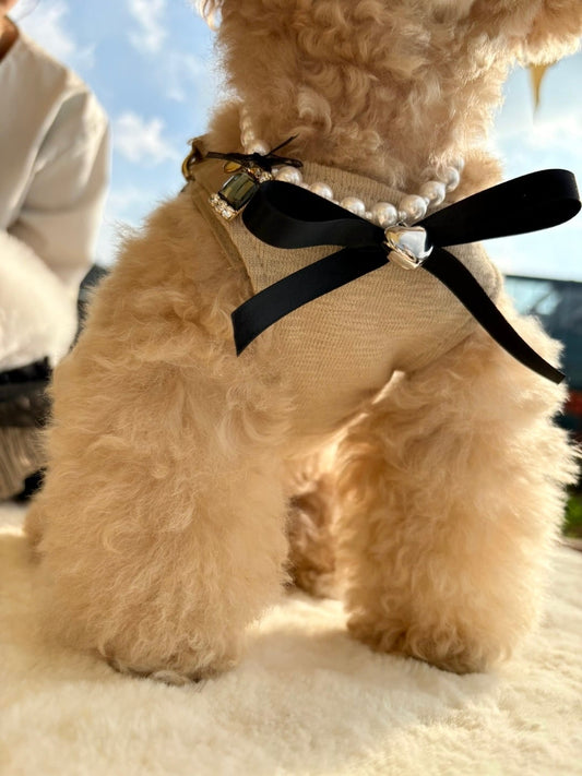 即納 Point Ribbon Necklace